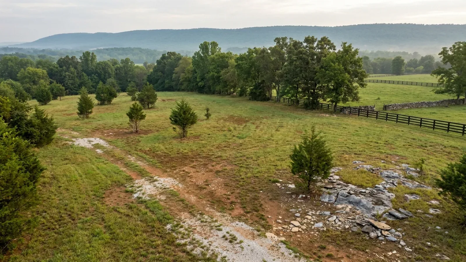 Aerial view of an undeveloped rural lot with cleared grass, a cedar and hardwood treeline, and a pale gravel access track.