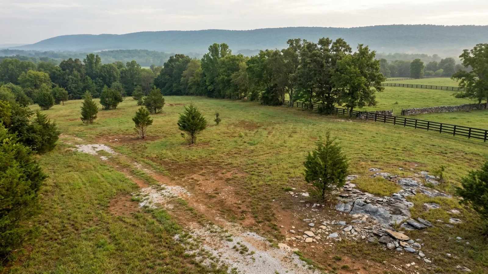 Aerial view of an undeveloped rural lot with cleared grass, a cedar and hardwood treeline, and a pale gravel access track.